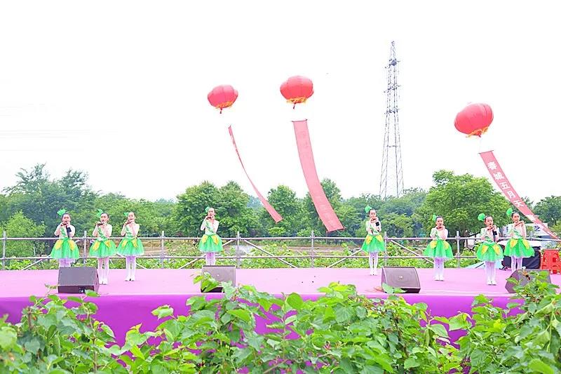 八方游客齐聚桑果紫酒节，共赴这场采桑品酿盛会