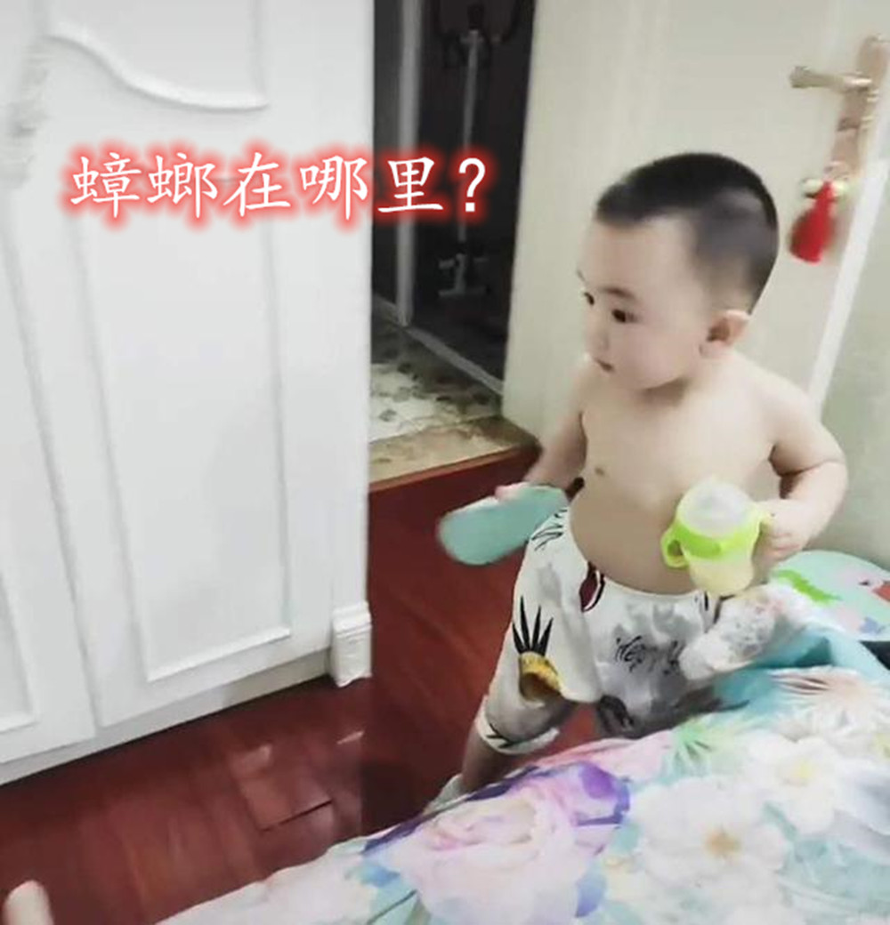 妈妈遇蟑螂,萌娃一手奶瓶一手拖鞋来“救驾”,网友:骗我生儿子