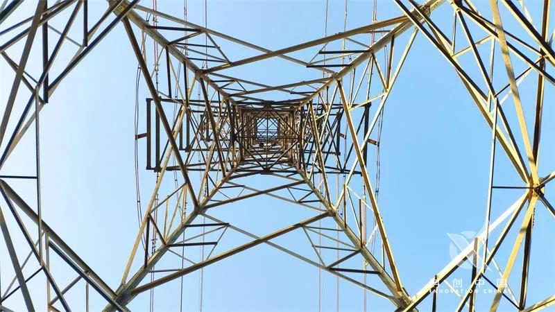 国外专家评价国家电网,国家电网有多厉害