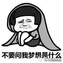 大pk的所有内容,电厂最有技术的岗位是什么