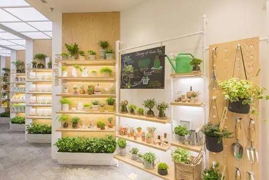 悦诗风吟退出中国市场了吗,悦诗风吟中国护肤区