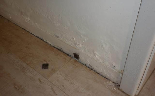 一楼房子的优点和缺点是什么,一楼的房子有哪些缺点