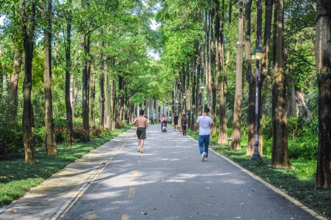 深圳遛娃必去景点免费过年,深圳适合儿童游玩的公园