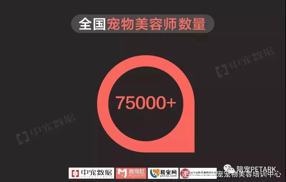 宠物美容师得病,宠物美容师死了谁负责