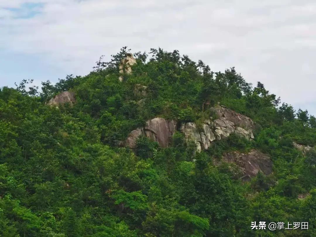 梦里是江南水乡，没曾想，却恋上罗田这个村