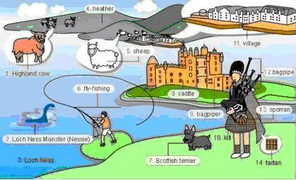30张场景单词图，教你记住高频生活词（建议收藏）