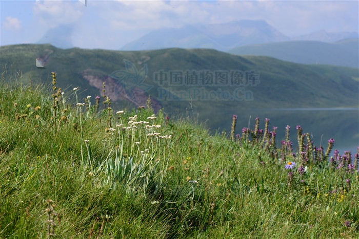 涔崇櫧棣欓潚,涔崇櫧娣￠粍棣欓潚