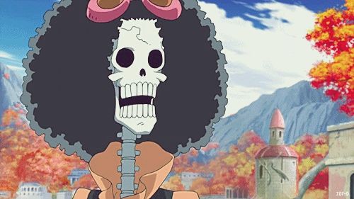 还记得海盗帽吗,草帽海贼团所有成员合照