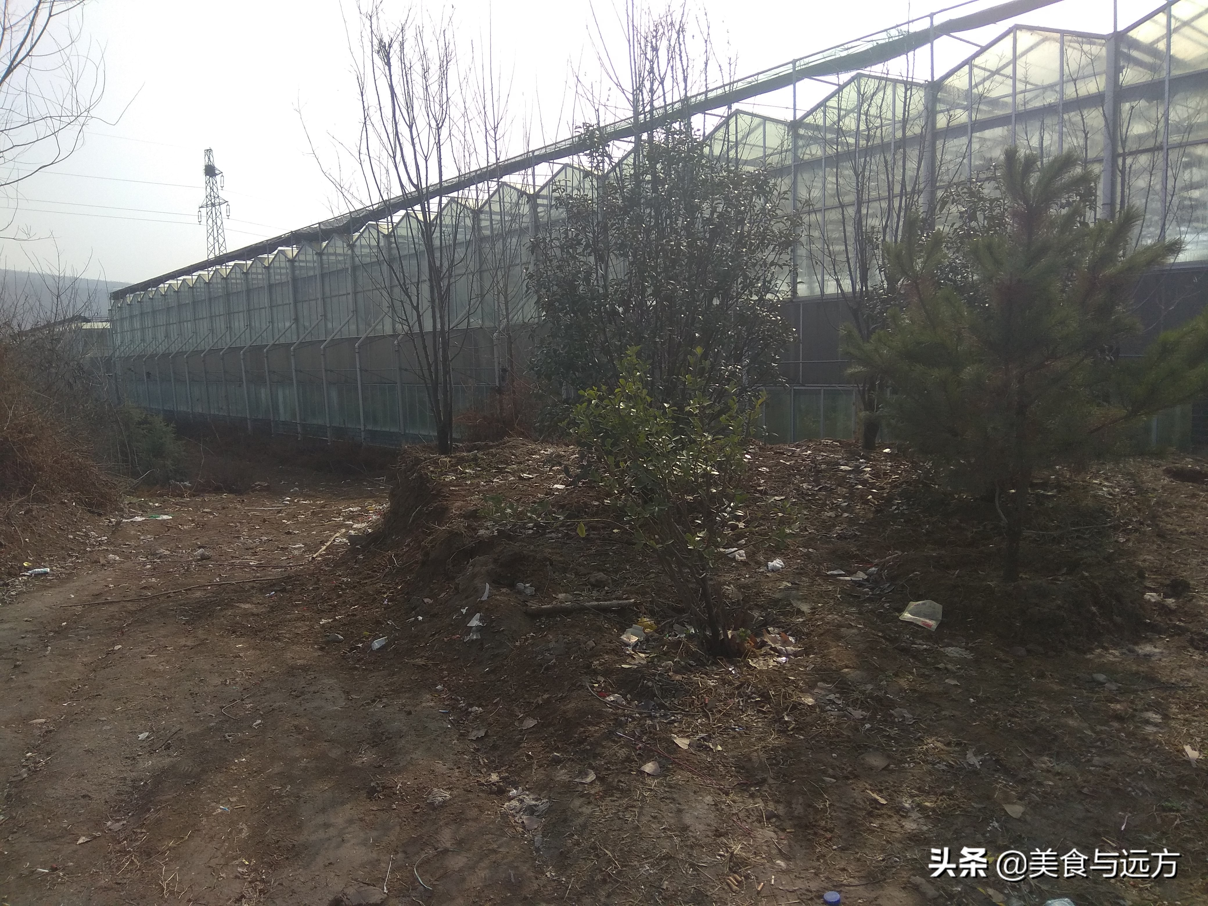 南横线上曾经有个盛农园，如今却是一片死气