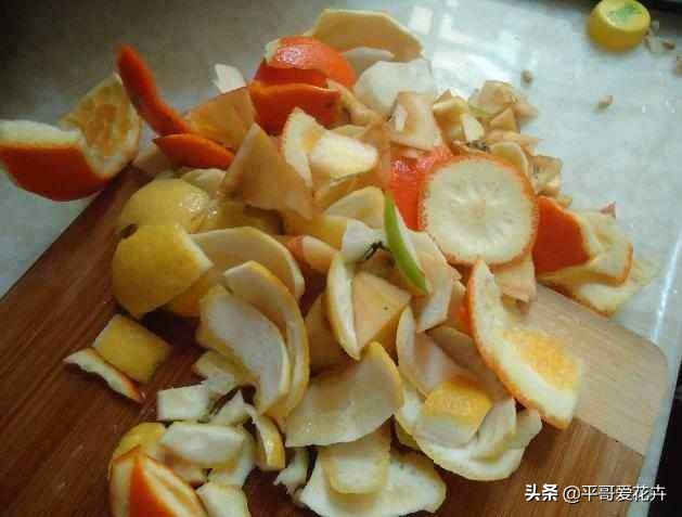 养茉莉花,一个花苞都没有?只需浇“2种水”,花苞多、开花量大