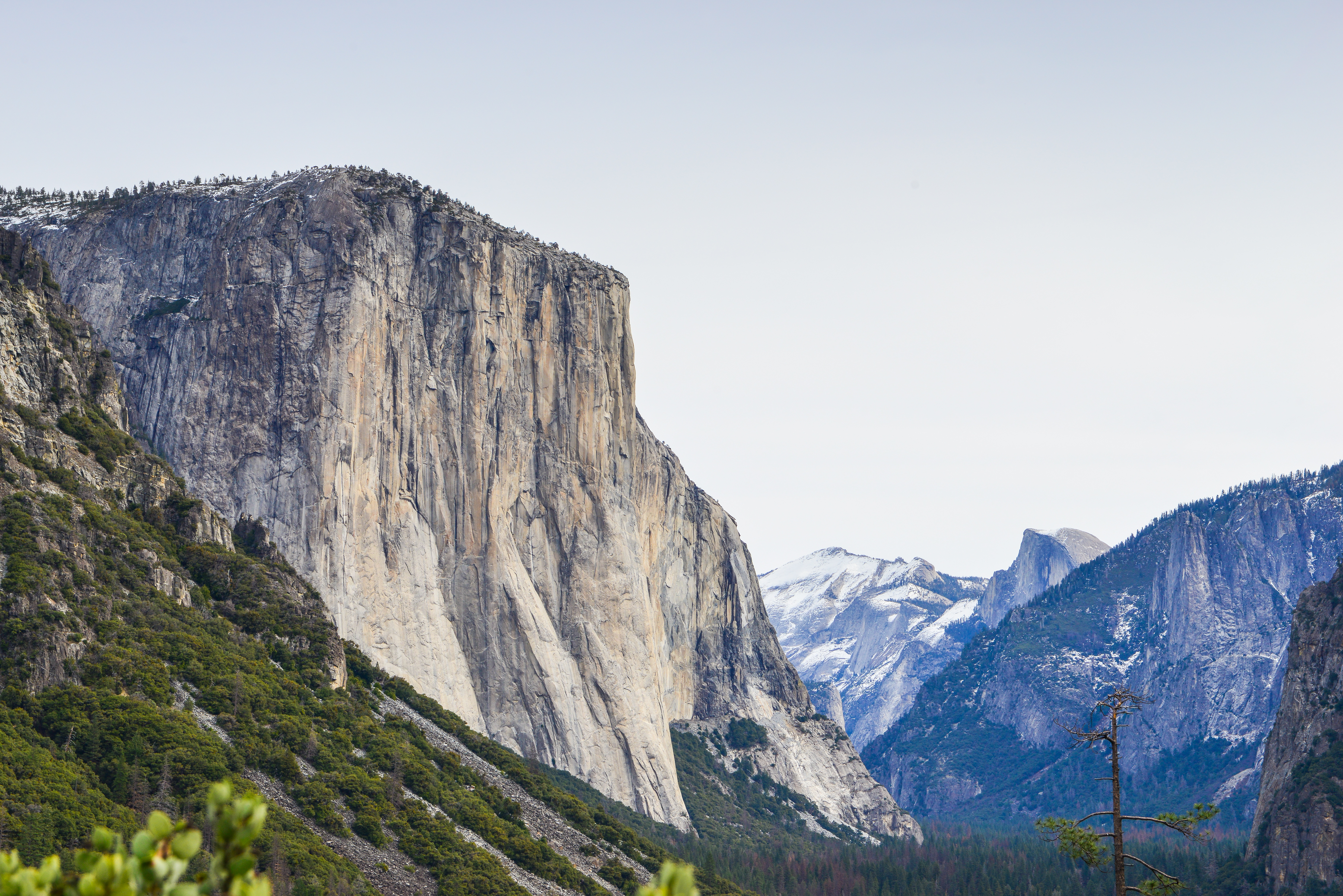 优胜美地国家公园,优胜美地国家公园1935