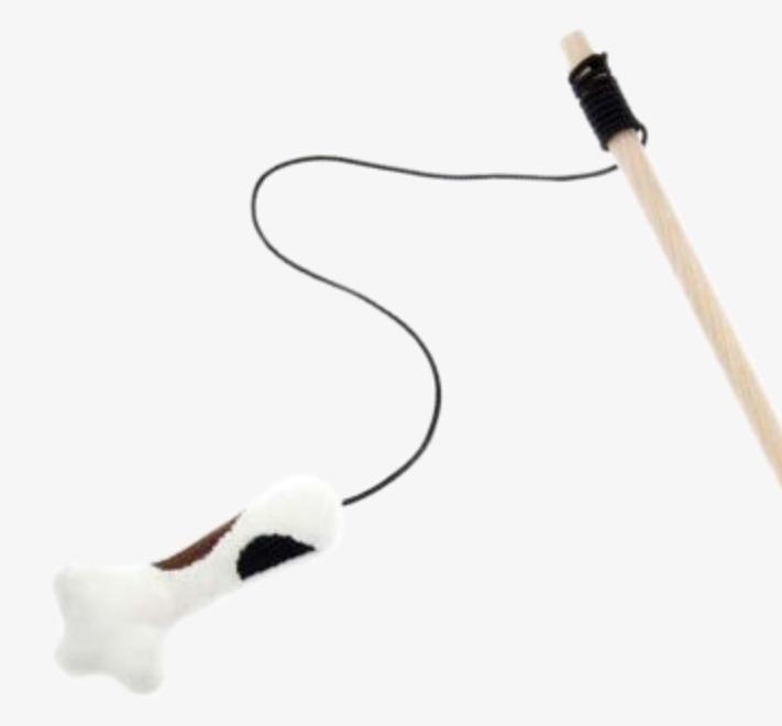 生活在宠物天堂的动物,在天堂的猫狗