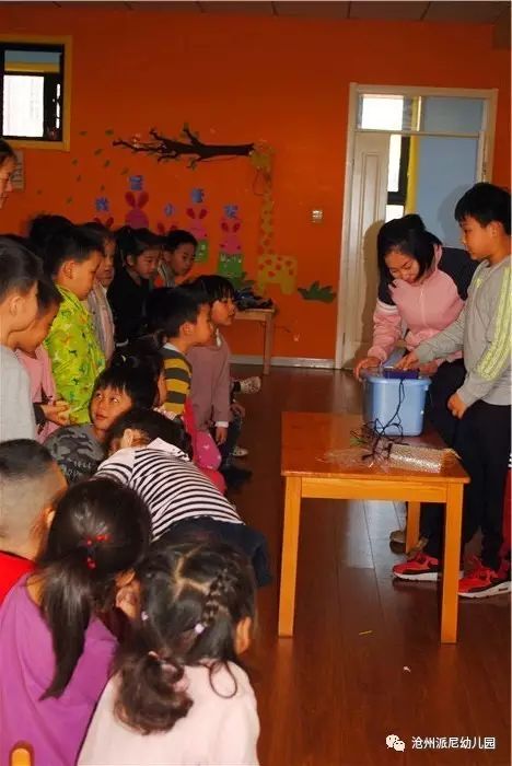 生命教育孵蛋,生命教育课程孵小鸡