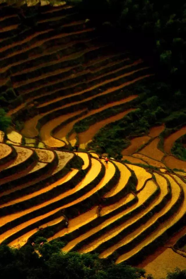 江西客家有哪些地方,江西有哪些地方是客家