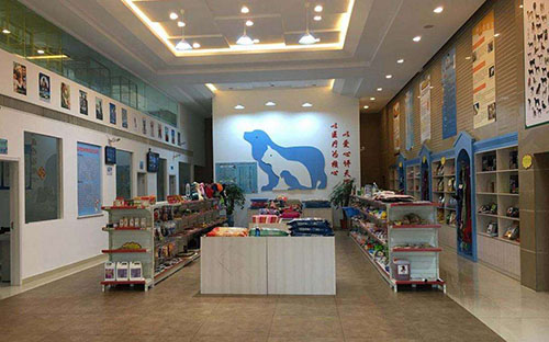 金毛咳嗽流鼻涕吃什么药,金毛幼犬流鼻涕怎么回事