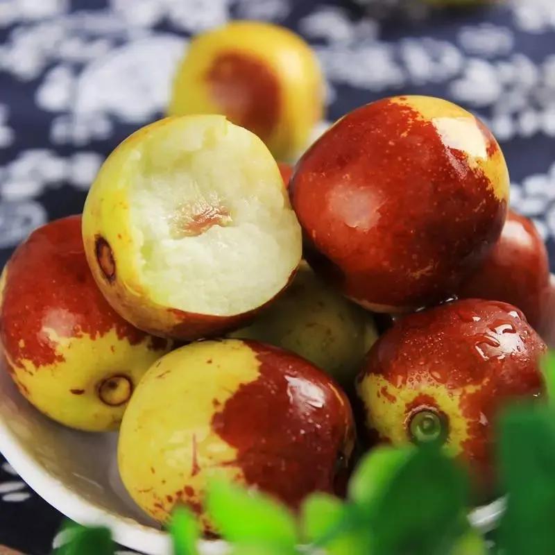 热带水果名单,热带水果王国攀枝花