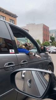 大叔刷百万礼物,大叔刷100万见网红