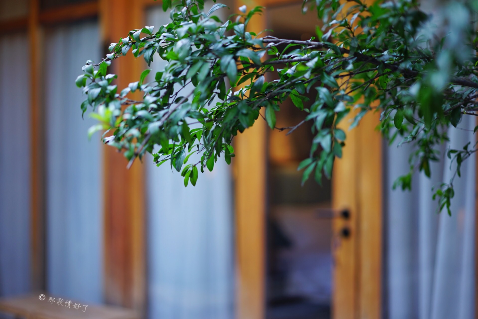 什刹海高端民宿,北京旅游胡同民宿