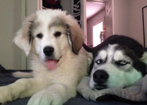 男朋友老是敷衍想分手怎么办,对付男朋友敷衍的句子