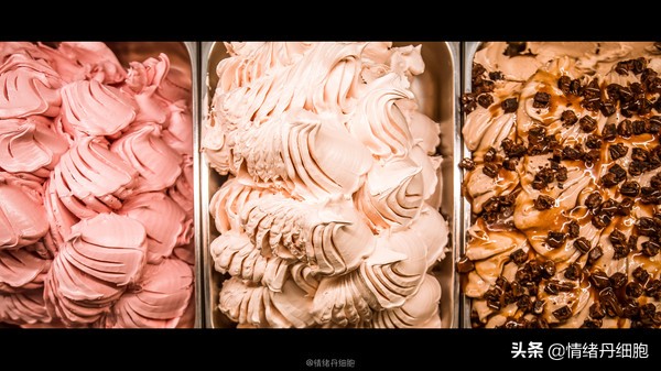 可以去玩一整天的地方,能玩一两天的地方