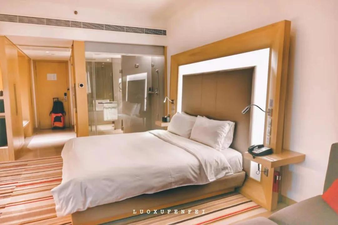 玩完南京去哪里玩景点推荐,南京钟山风景区秋天一日游攻略