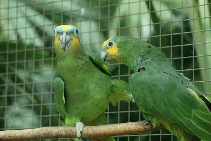 大连旅游攻略精致景点推荐,大连必去的打卡景点