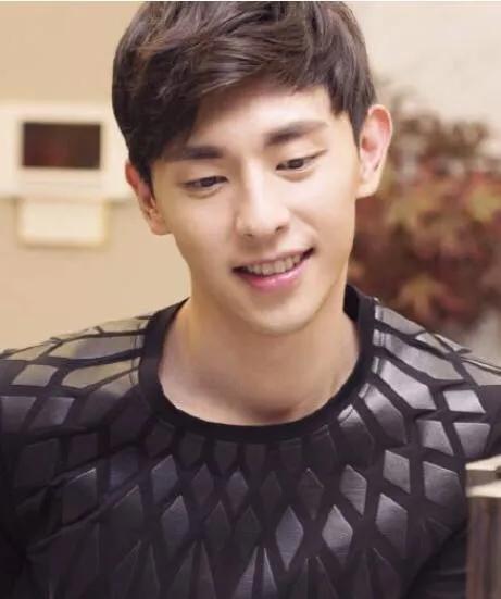 石家庄的男明星,何政军出生在石家庄吗