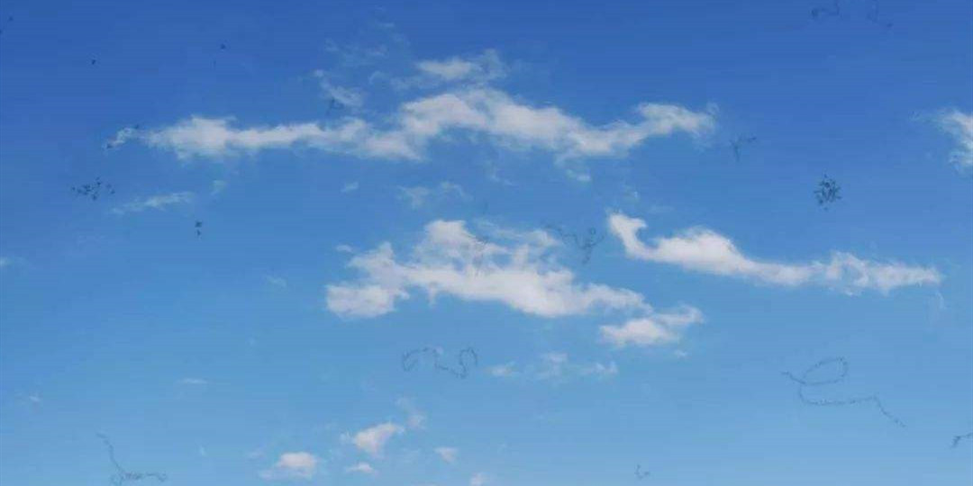 30岁得了飞蚊症,得了飞蚊症会失明吗