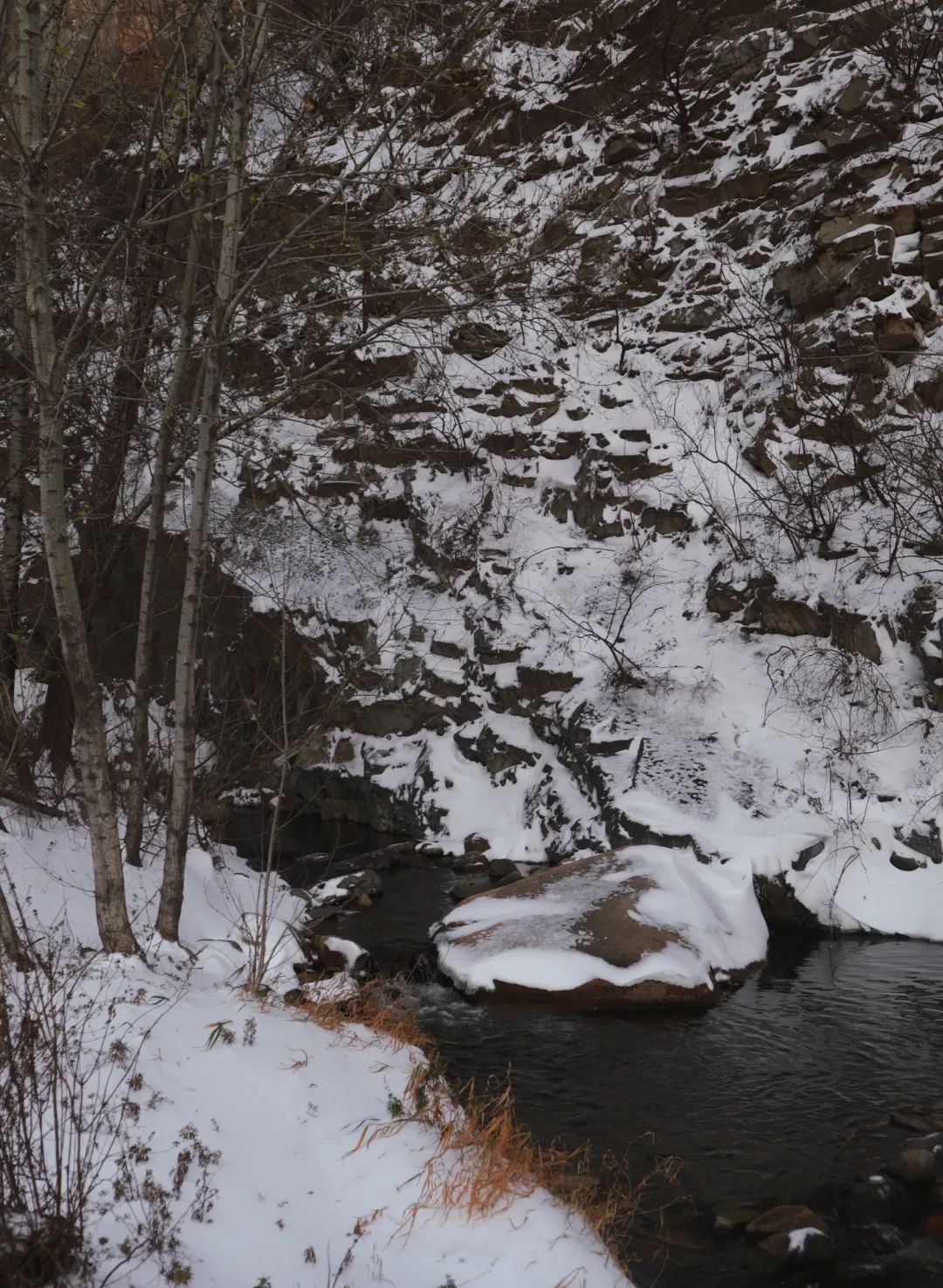 冬日雪景的诗句,黄山冬日雪景有关诗句