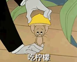 主人花30万打造的豪华狗窝,全网最土豪狗窝