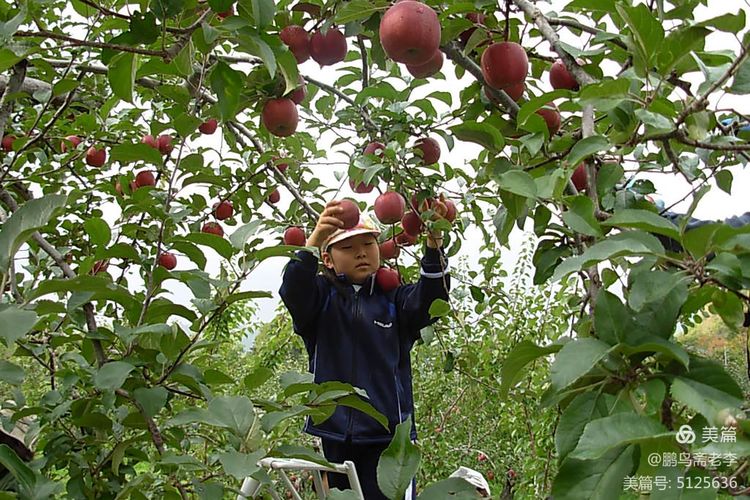 赤峰日报蒙古文,赤峰日报2005