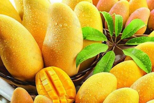 三种芒果最便宜,买芒果的正确方法