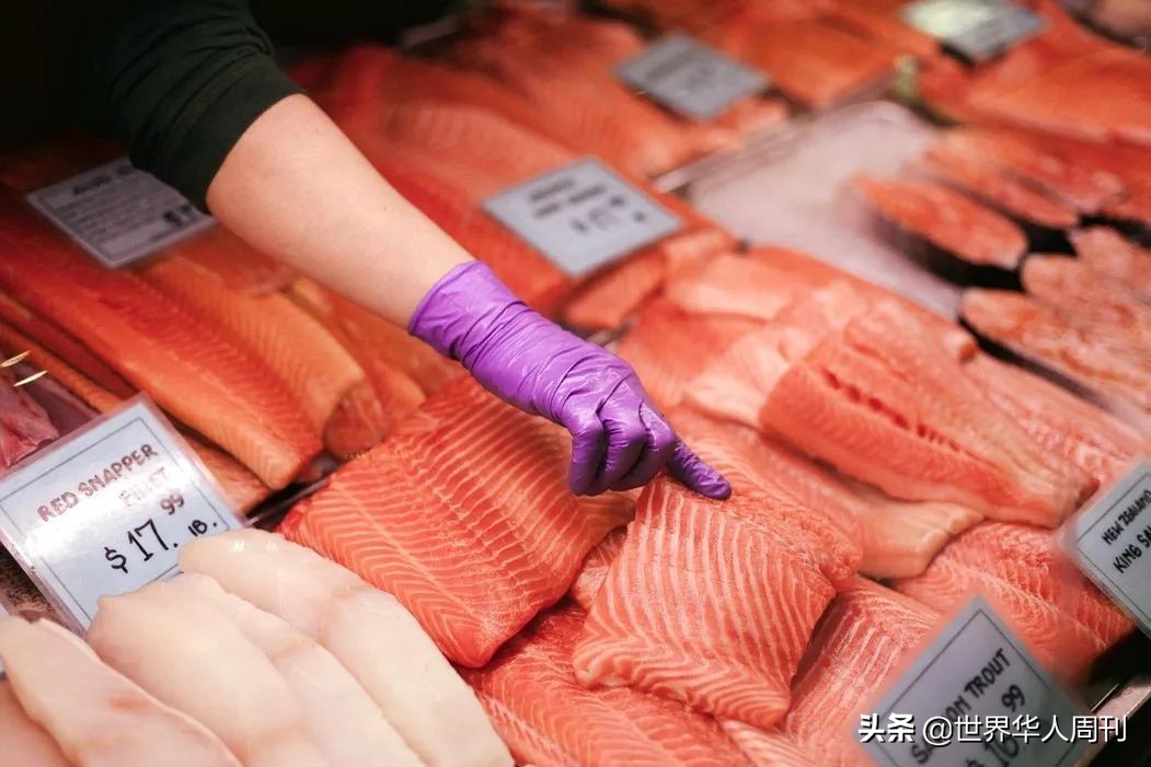 买回家的三文鱼如何防止寄生虫,活三文鱼寄生虫