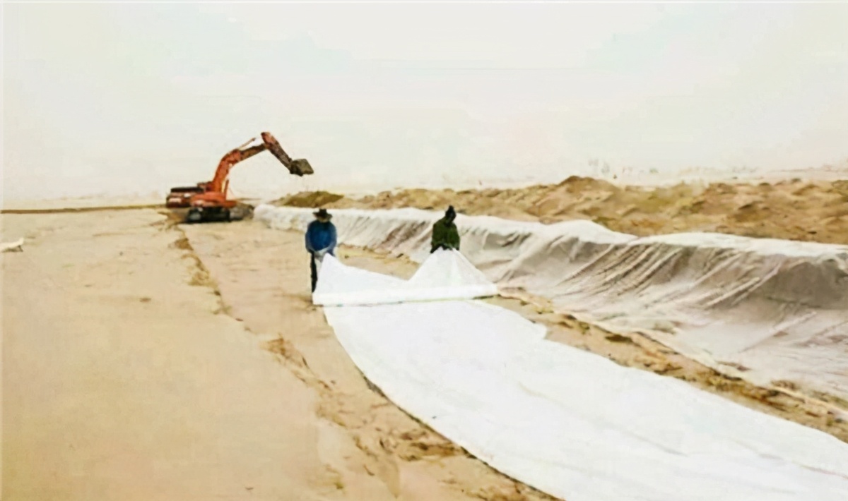 沙漠种水稻获3亿,中国小伙在沙漠中种出万亩良田