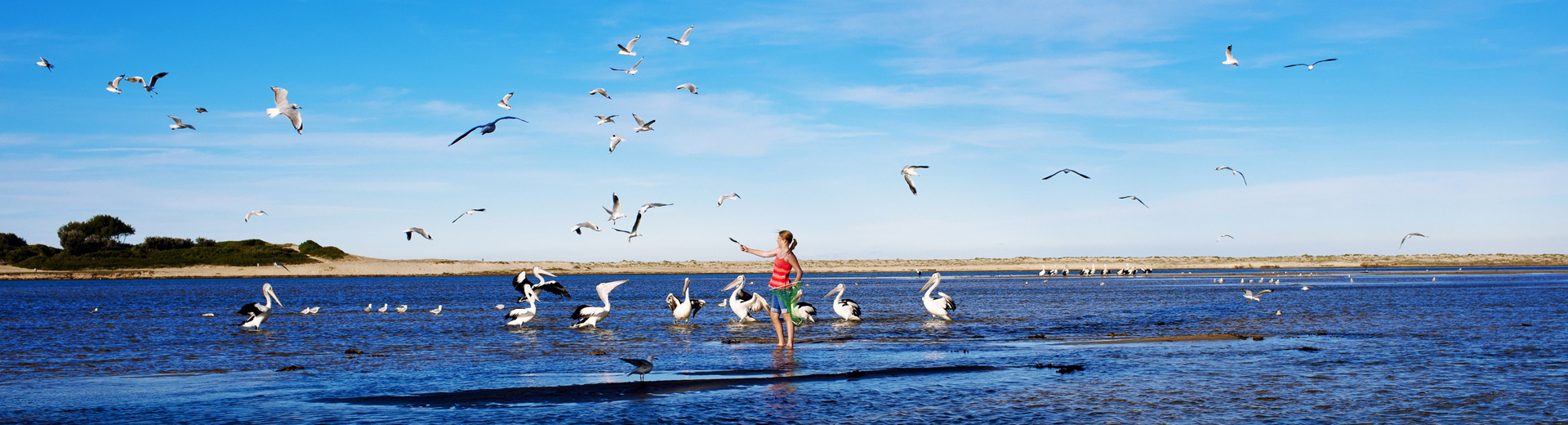 澳洲留学生签证续签提前多久申请,澳洲毕业超半年还能申请485签证吗