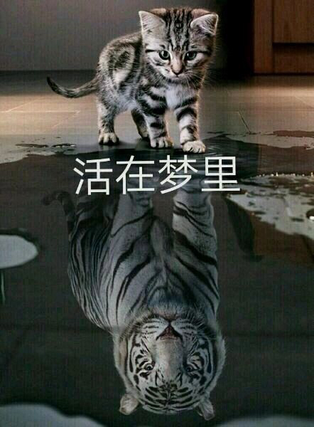 这游戏的经济系统有多奇葩？玩家在游戏里炒房，一年收入上百万