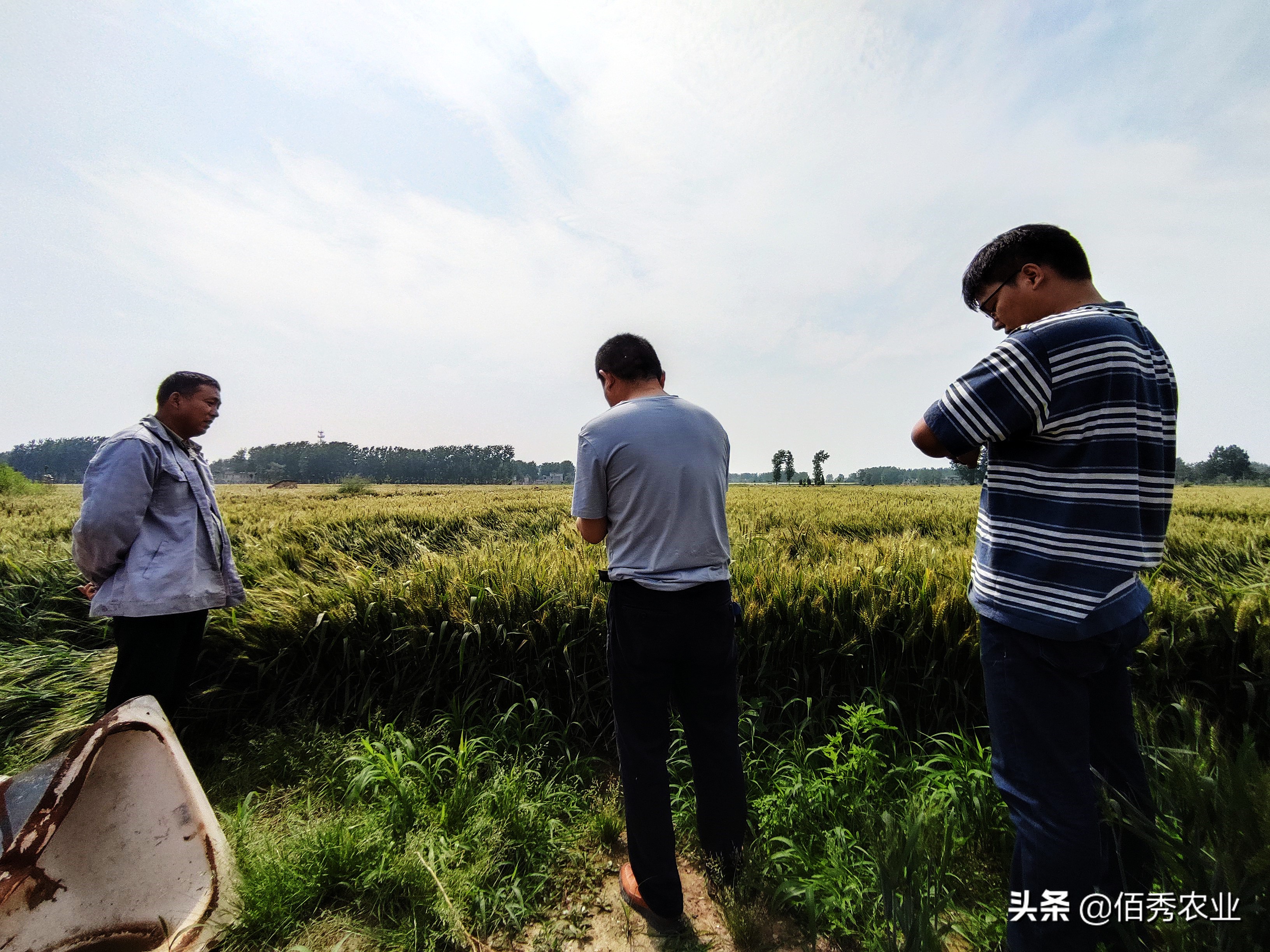 实在不想上班了想创业,不想打工想做点生意没门路怎么办