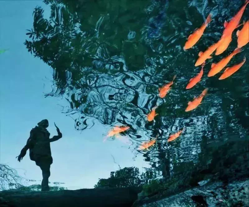 手机摄影作品集大全大图,手机摄影人像优秀作品图