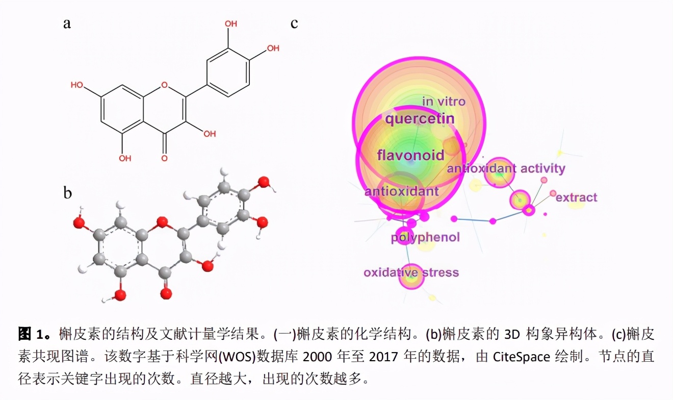 pdf全文翻译软件免费,免费的pdf全文翻译软件