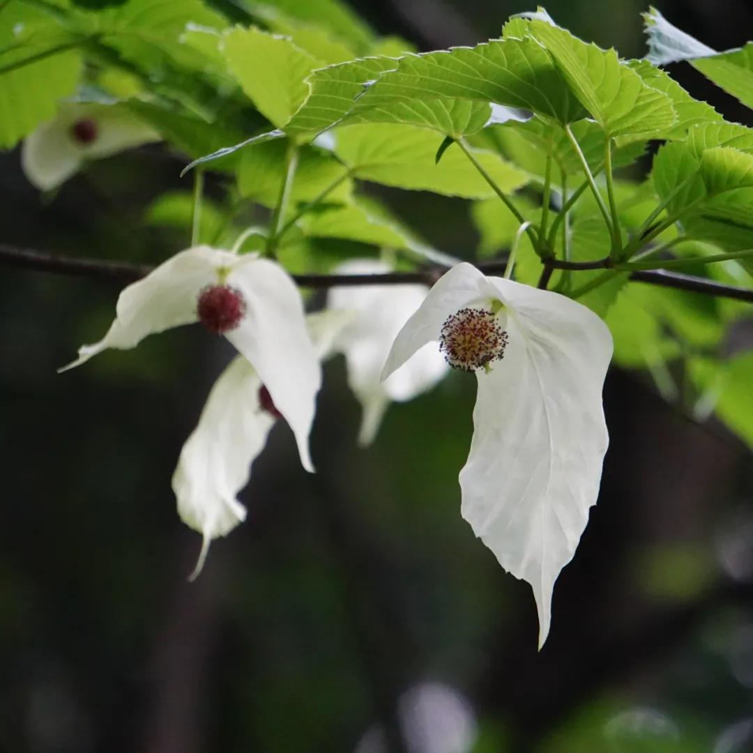 合肥融创茂宝藏秘境,合肥宝藏地