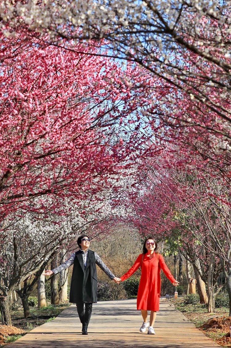 傅家边野营,走进金溪傅家村