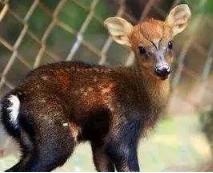 濂緢鍝佸寘鍖呴槻纾ㄦ崯,濂緢鍝佸寘鍖呭皬鐟曠柕淇