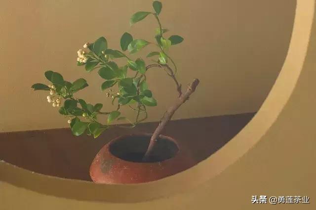 做人处世的方和圆之道,圆是处世之道方是做人之本