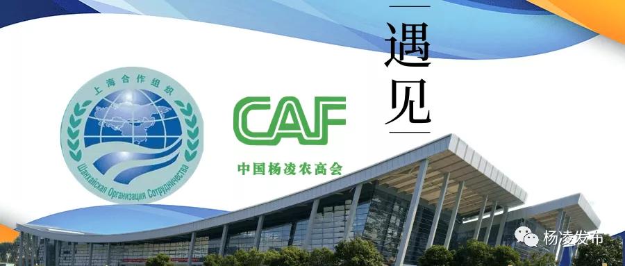 杨凌示范区2020年总结大会,杨凌示范区工作会