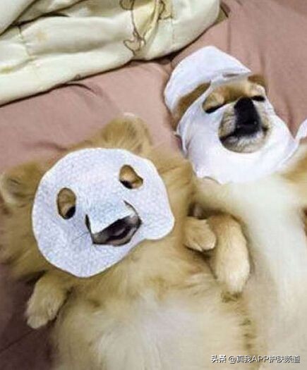 怎样才能快速美白简单方法,怎样快速美白