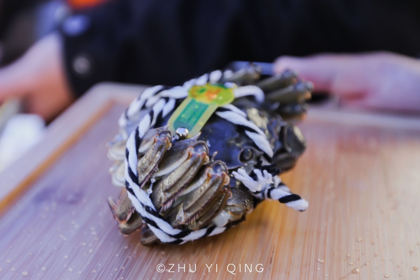 在哪儿能吃到正宗阳澄湖大闸蟹,哪里才能吃到正宗的阳澄湖大闸蟹