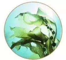 香蒲丽黄金水光面膜如何使用,香蒲丽螺旋藻水光面膜