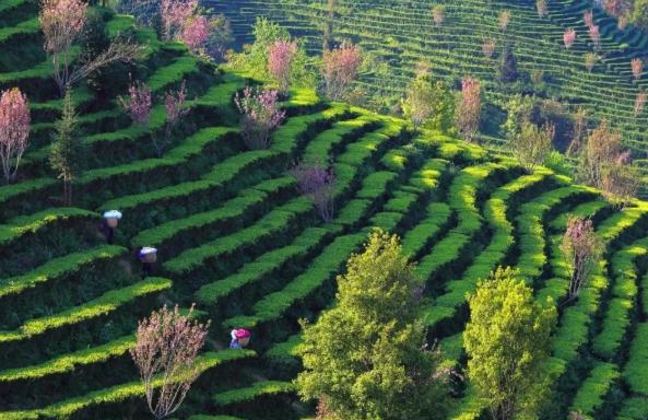 过年就近去哪里玩,新年去广西哪里玩