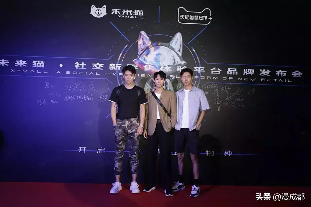 未来猫是什么品种,未来猫简介