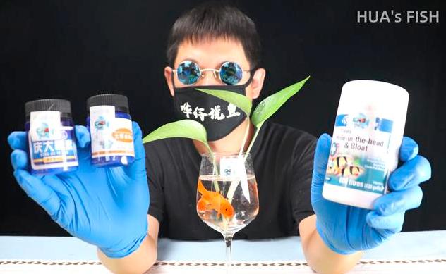 青云计划宠物写作技巧,青云计划游戏获奖文章